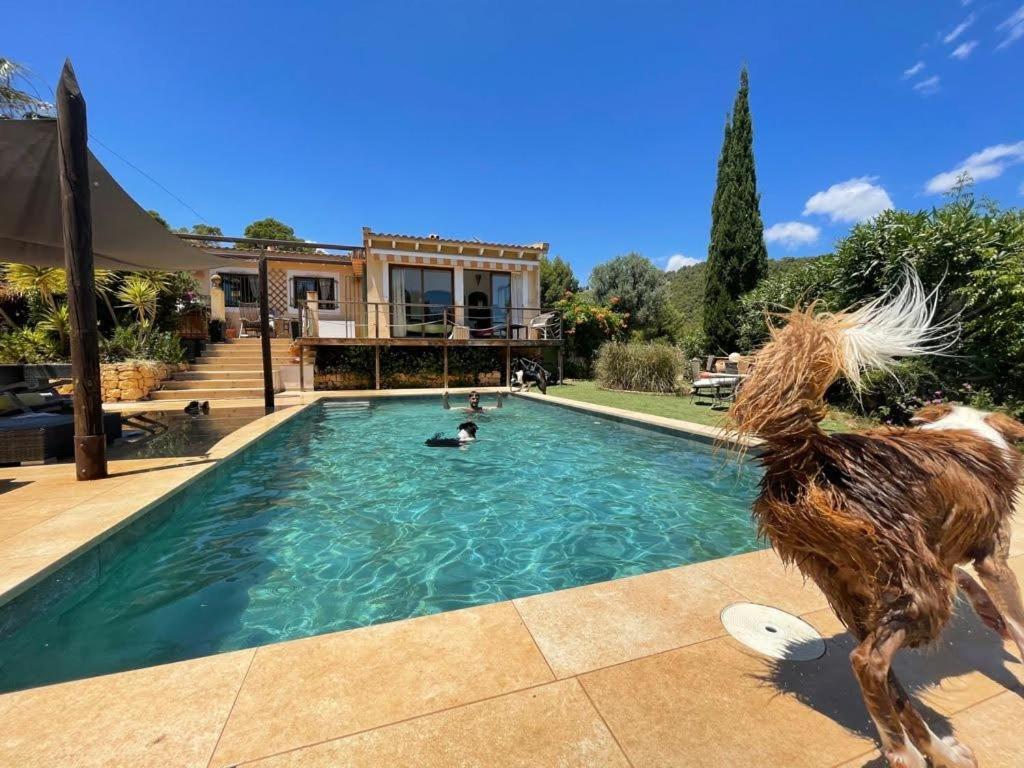 El Paraiso De Los Perros Polop Esterno foto